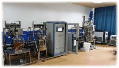 Fermentation bottles